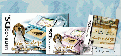 Nintendo DS Pink