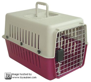 Travel crate for small dog or cat