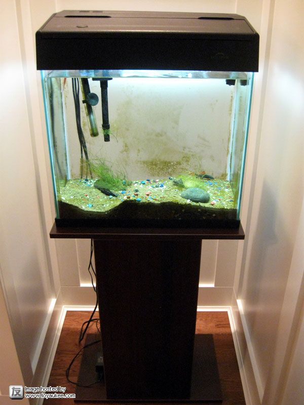 Tank and Stand